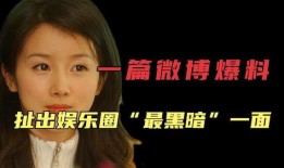 娱乐圈黑爆料,真相与谣言的较量